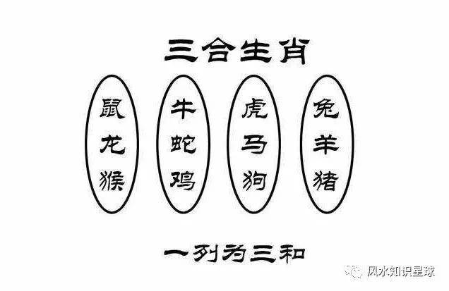 留二去五此三开,向往三五二数开.打一生肖,构建解答解释落实_5436.28.15